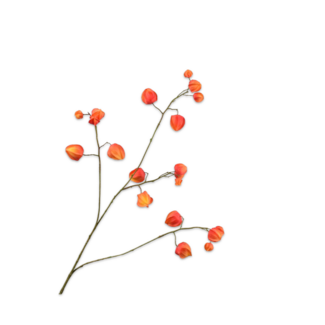 Silk-Ka PHYSALIS TAK ORANJE 92 cm