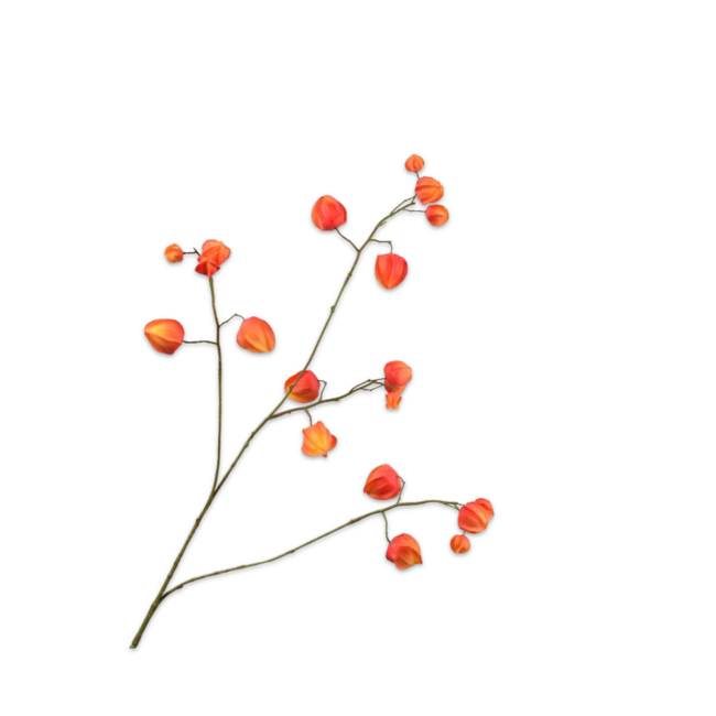Silk-Ka PHYSALIS TAK ORANJE 92 cm