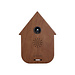 Present Time Sound box Modern Cuckoo dark wood