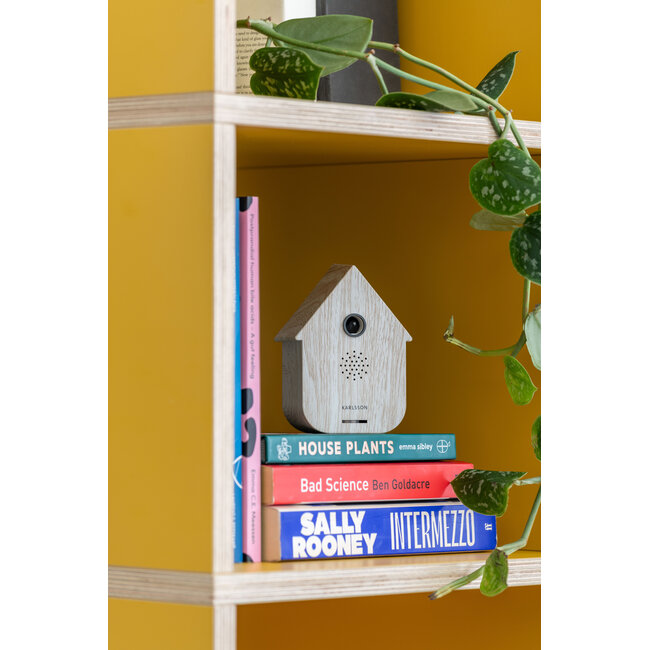 Present Time Sound box Modern Cuckoo white wash