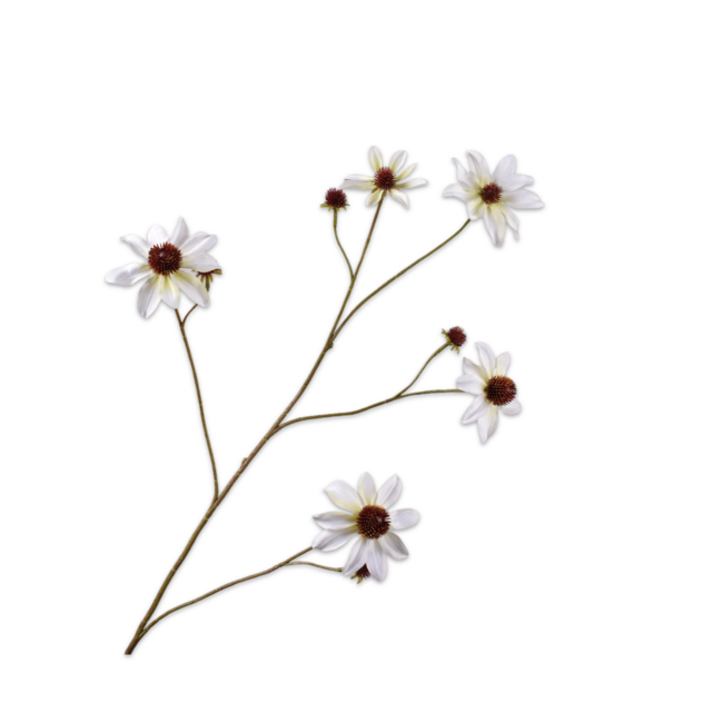 Silk-Ka RUDBECKIA TAK WIT 91 cm