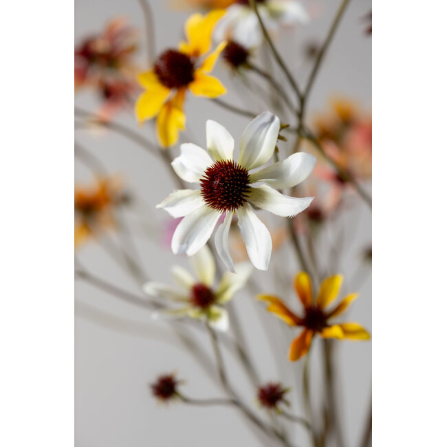 Silk-Ka RUDBECKIA TAK WIT 91 cm
