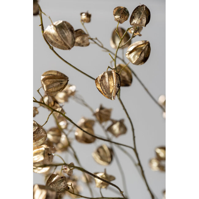 Silk-Ka PHYSALIS TAK GOUD 92 cm