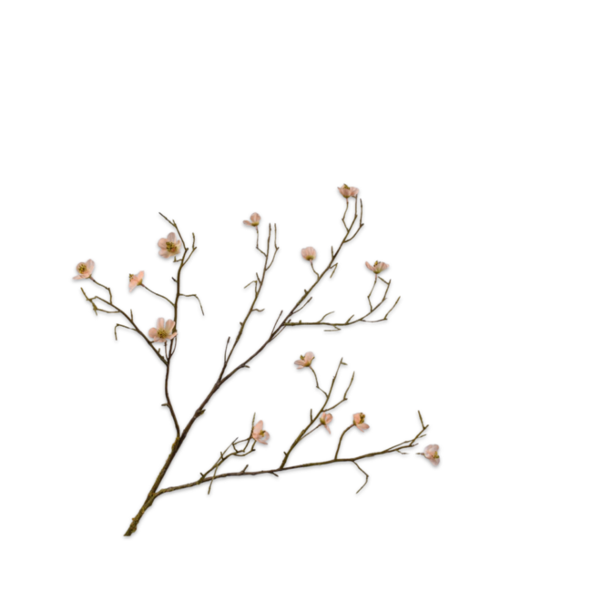 Silk-Ka BLOESEM TAK PERZIK 74 cm