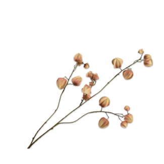 Silk-Ka PHYSALIS TAK BRUIN 92 cm