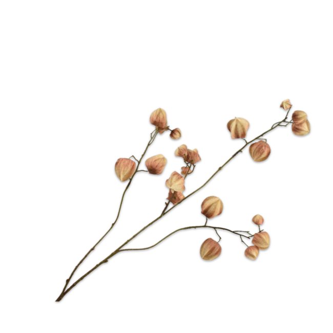 Silk-Ka PHYSALIS TAK BRUIN 92 cm