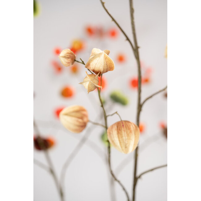 Silk-Ka PHYSALIS TAK BRUIN 92 cm