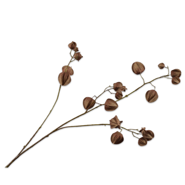Silk-Ka PHYSALIS TAK ROOD/BRUIN 92 cm