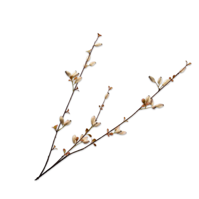 Silk-Ka ROZENBOTTEL TAK CREME 84 cm