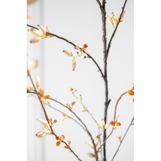 Silk-Ka ROZENBOTTEL TAK CREME 84 cm