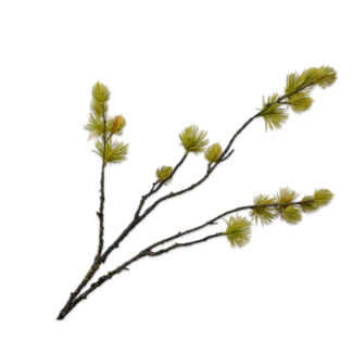 Silk-Ka DEN TAK GL/GRN 77 cm