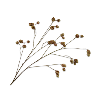 Silk-Ka HOP TAK BRN/GRN 109 cm