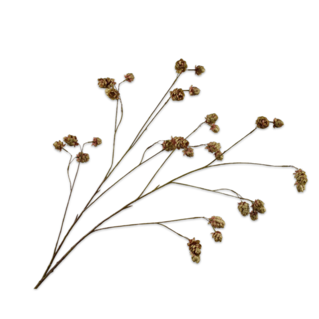 Silk-Ka HOP TAK BRN/GRN 109 cm