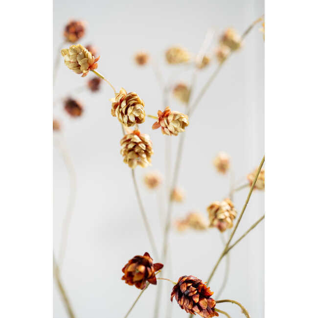 Silk-Ka HOP TAK BRN/GRN 109 cm