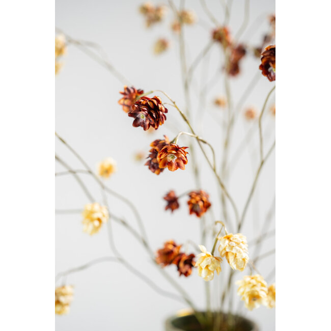 Silk-Ka HOP TAK BRN DK 109 cm