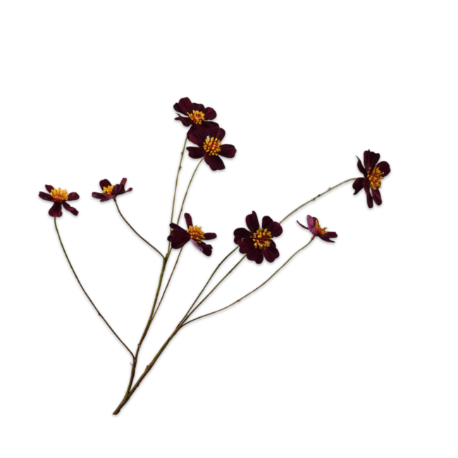 Silk-Ka COSMOS TAK PAARS 77 cm