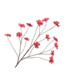 Silk-Ka COSMOS TAK FUCHSIA 94 cm