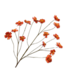 Silk-Ka COSMOS TAK ORANJE 94 cm