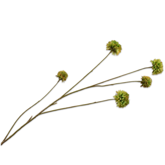Silk-Ka KORENBLOEM TAK GROEN 91 cm
