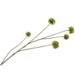 Silk-Ka KORENBLOEM TAK GROEN 91 cm