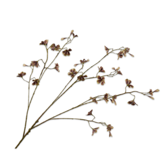 Silk-Ka BEGONIA TAK BRN/GRN 106 cm