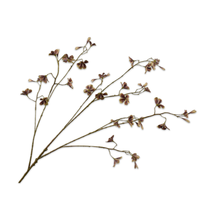 Silk-Ka BEGONIA TAK BRN/GRN 106 cm