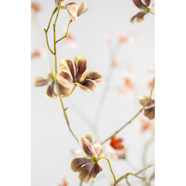 Silk-Ka BEGONIA TAK BRN/GRN 106 cm