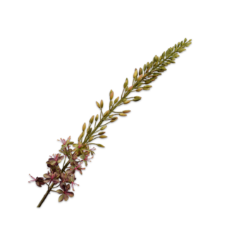 Silk-Ka EREMURUS STEEL PRS/GR 107 cm