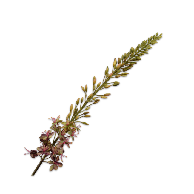 Silk-Ka EREMURUS STEEL PRS/GR 107 cm
