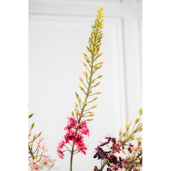 Silk-Ka EREMURUS STEEL ROZE 107 cm