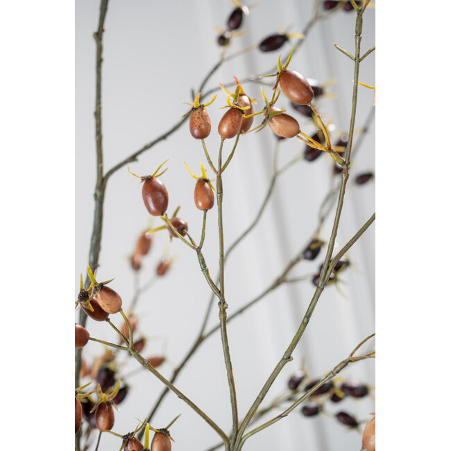 Silk-Ka ROZENBOTTEL TAK BRUIN 96 cm