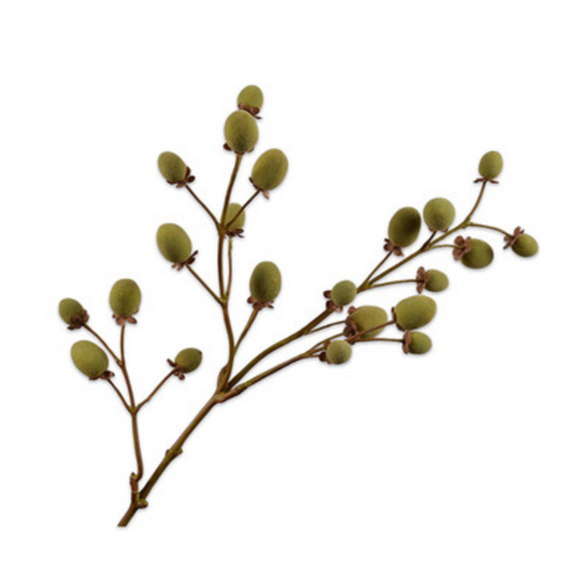 Silk-Ka FRUITTAK KIWI GRN/BRN 76 cm