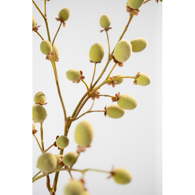 Silk-Ka FRUITTAK KIWI GRN/BRN 76 cm