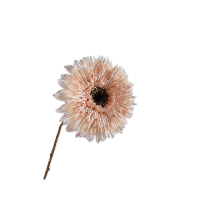 Silk-Ka ZONNEBLOEM TAK CREME 71 cm