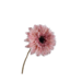 Silk-Ka ZONNEBLOEM TAK ROZE 71 cm