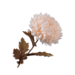 Silk-Ka CHRYSANT STEEL CREME 75 cm