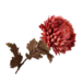 Silk-Ka CHRYSANT STEEL ROZ/RD 75 cm