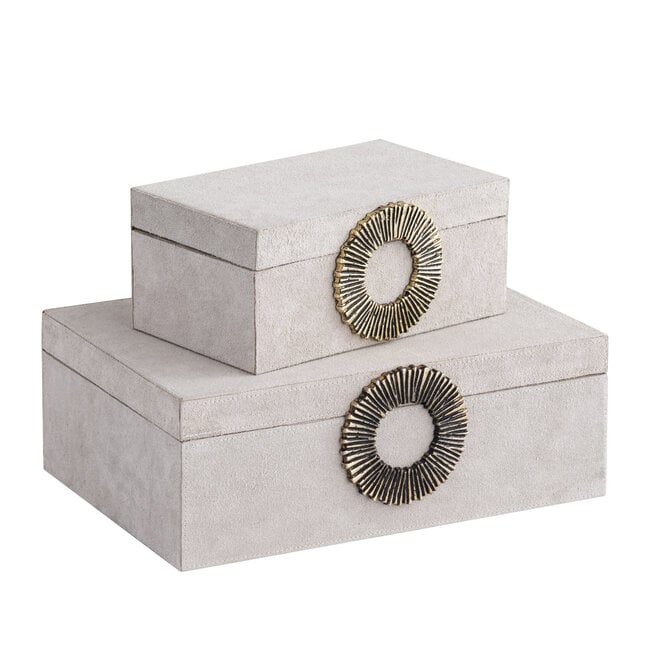 PTMD Hazael Beige suede box golden handle L