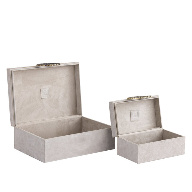 PTMD Hazael Beige suede box golden handle L