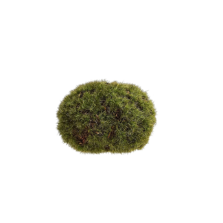 Colmore Rock MOSS 7x9x3.5cm green