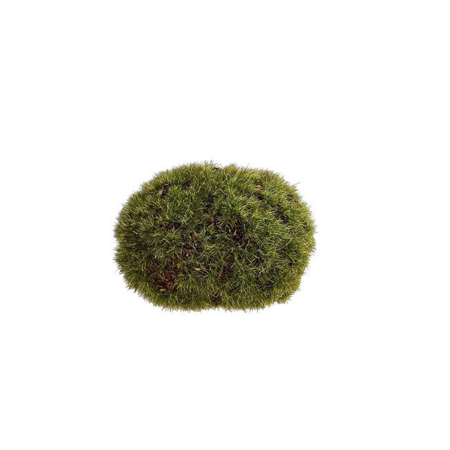 Colmore Rock MOSS 7x9x3.5cm green