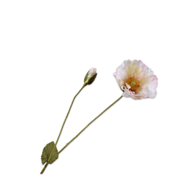 Silk-Ka KLAPROOS TAK CREME 74 cm