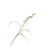 Silk-Ka GRAS TAK GROEN 108 cm