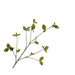 Silk-Ka CORYLUS TAK GROEN 116 cm