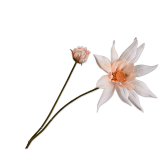 Silk-Ka DAHLIA TAK ZALM 90 cm Silk-Ka DAHLIA TAK ZALM 90 cm
