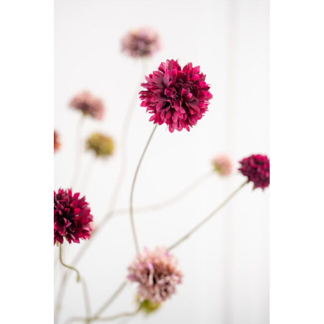 Silk-Ka KORENBLOEM TAK PAARS 91 cm