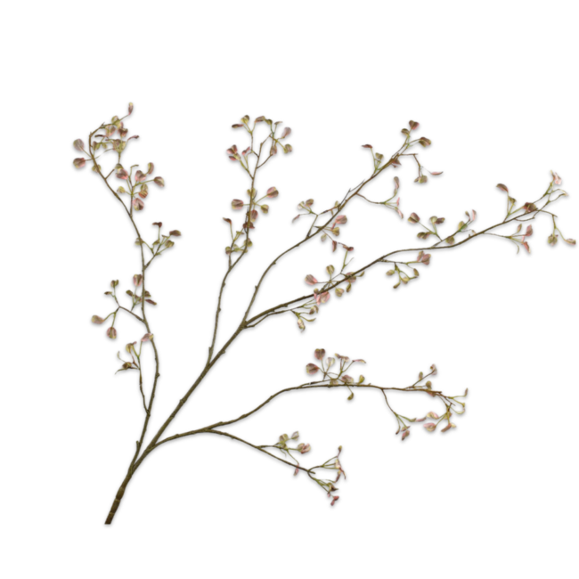 Silk-Ka EUONYMUS TAK GRN/ROZ 125 cm