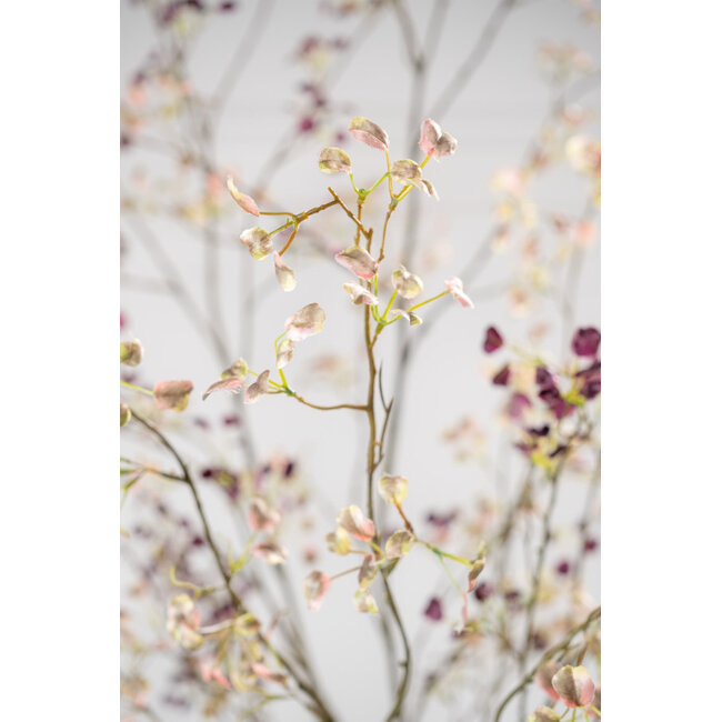 Silk-Ka EUONYMUS TAK GRN/ROZ 125 cm