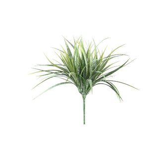 PTMD Leaves Plant Green field grass bush PTMD Leaves Plant Green field grass bush