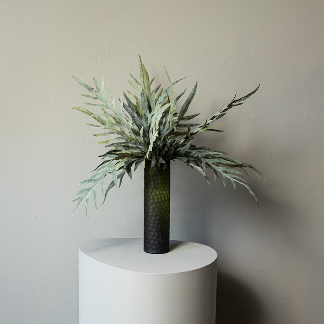 PTMD Fern Plant Green java fern bush S